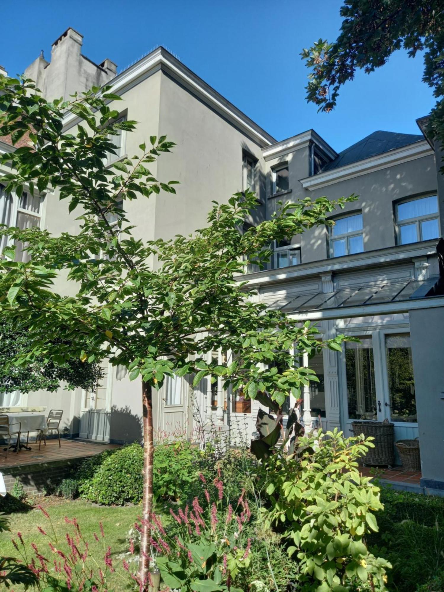 אנטוורפן Huis Dujardin Bed&Breakfast מראה חיצוני תמונה