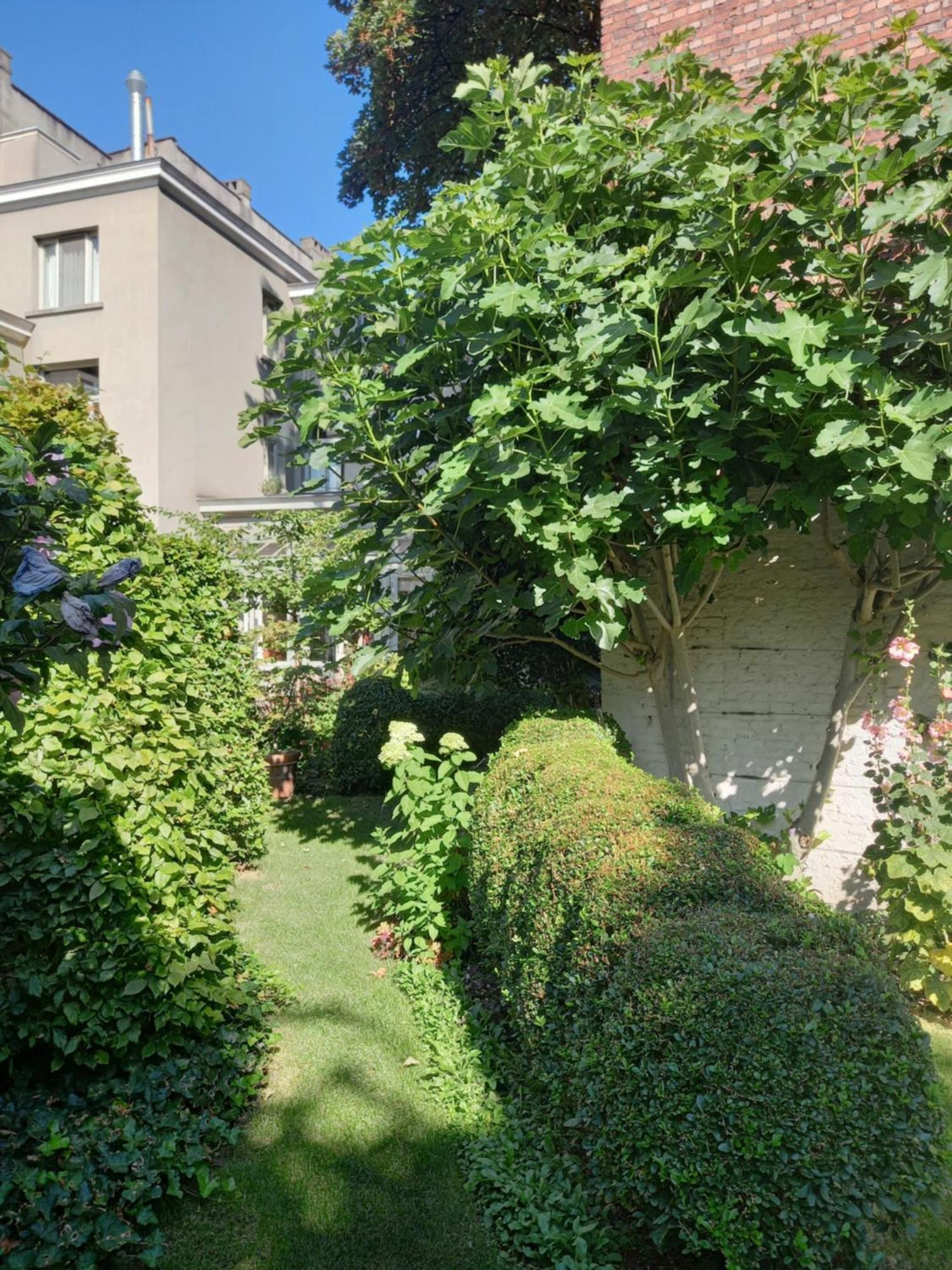 אנטוורפן Huis Dujardin Bed&Breakfast מראה חיצוני תמונה